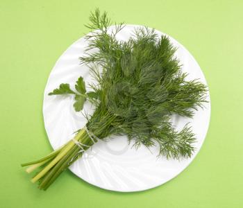 dill on a plate on a green background