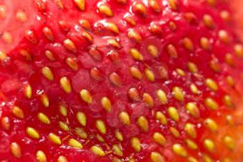 Background of fresh red strawberries. macro