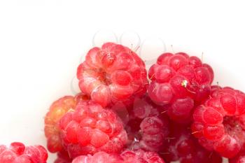 background of ripe raspberries. macro