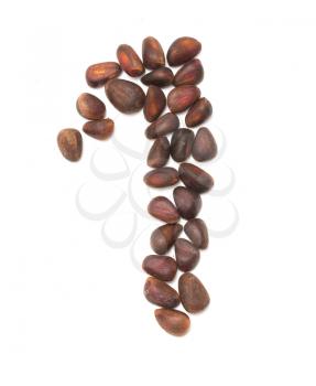 figure is one of the pine nuts on a white background