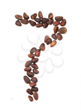 number seven of the pine nuts on a white background