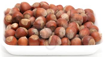 filbert nuts on a white background