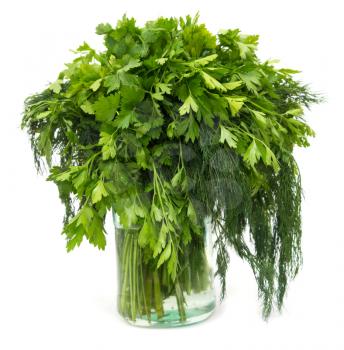 dill with parsley on a white background