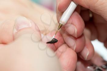 varnished fingers in the beauty salon