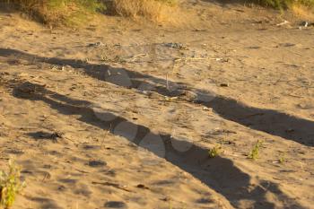 footprints in the sand on cars