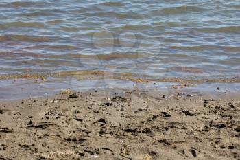 water on the shore of the lake as a backdrop