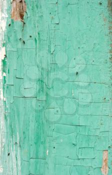 abstract background of old boards painted with green paint