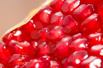 Macro view of ripe seeds of pomegranate