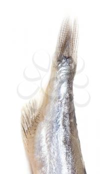 tail capelin on a white background
