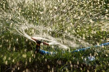 Splashing water from a hose on the lawn .