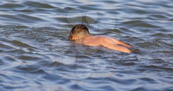 a man swimming in a lake