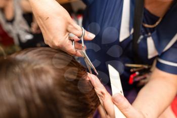 Female haircut with scissors in the beauty salon .