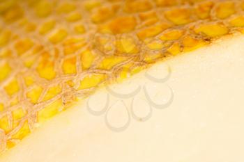 peel from the melon as a background. macro