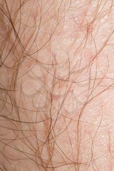 Background of human hair and skin. macro