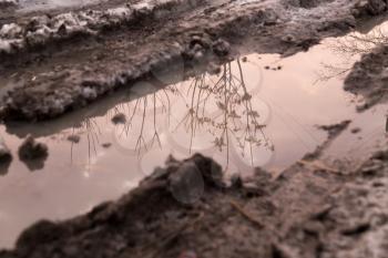 puddle on the road in winter