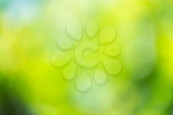 abstract bokeh background of nature