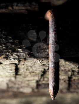 old rusty nail in the piece of wood. macro