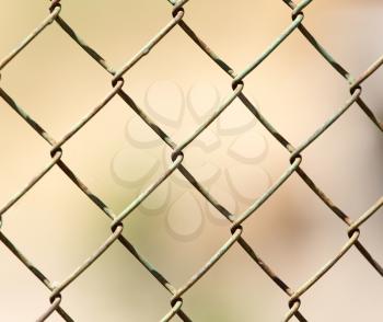 close up pattern Barb Wire