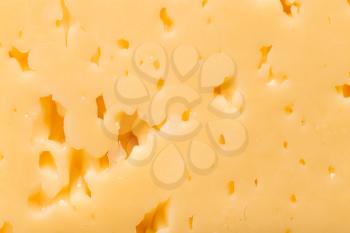 background of fresh cheese. macro