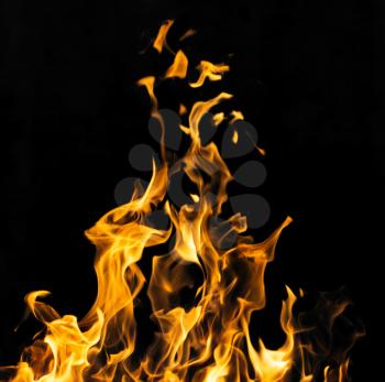 fire on a black background