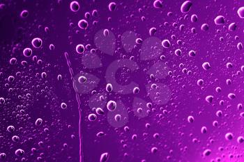 drops of water on purple glass