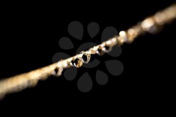 drops of water on a rope. macro