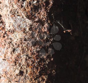 abstract background of rusty metal