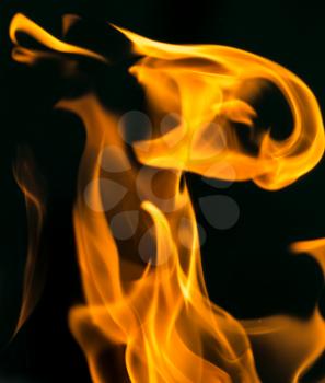 fire on black close up abstract background