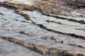 mud puddle on a dirt road