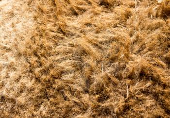 camel wool as a background