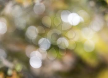 background bokeh fall