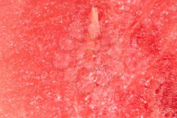 the flesh of watermelon. Super Macro