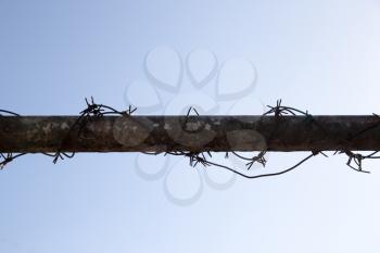 barbed wire on tube