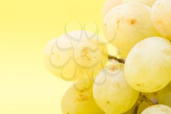 grapes on a yellow background