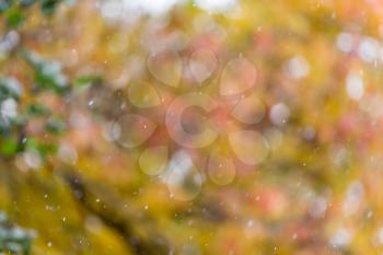 the first snow in the autumn as a background