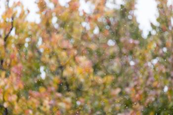 the first snow in the autumn as a background