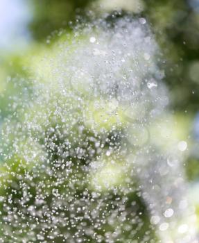 splashing water on nature. background