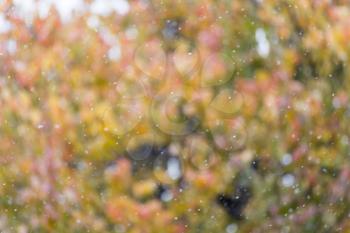 the first snow in the autumn as a background