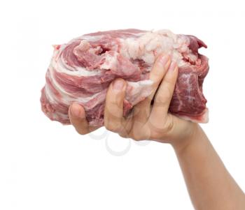 fresh meat in hand on a white background