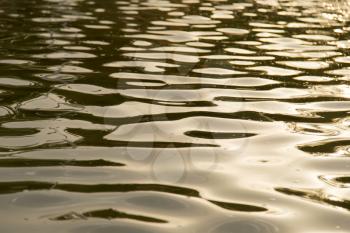 background of yellow surface of the water