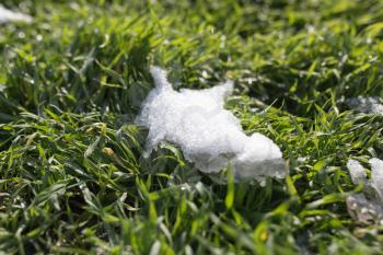 snow on the green grass