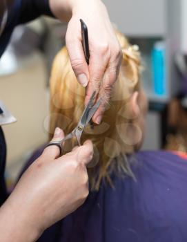 Female hair cutting scissors in beauty salon