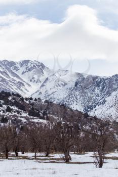 snow-capped mountains of the Tian Shan in winter