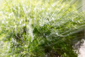 abstract background. nature in motion