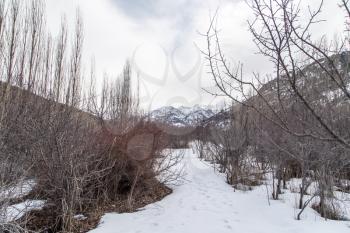 snow-capped mountains of the Tian Shan in winter