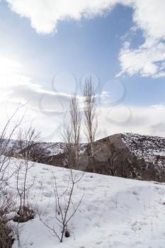 Nature in the Tien Shan mountains in winter. Kazakhstan