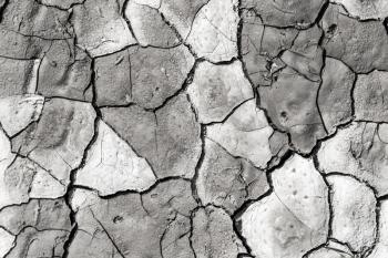 cracked earth as a background. texture