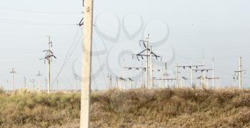 electric poles in nature