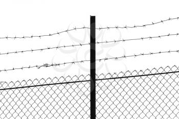 barbed wire on a white background
