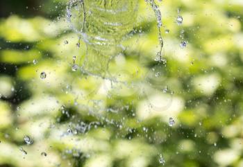 water splashes on green nature